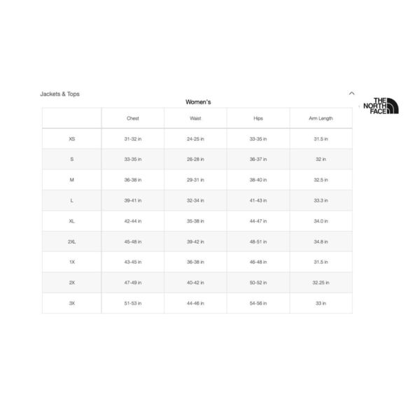 NEW THE NORTH FACE women's fit crewneck sweatshirt in grey solid - Picture 2 of 2